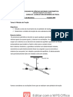 Pêndulo de Torção: Estudo das Leis de Movimento e Determinação do Módulo de Torção