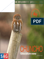 chuncho