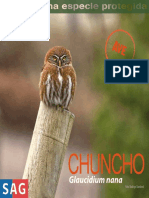Chuncho