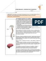 Guia 6 Cuarto Ciencia