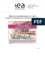 Material Complementario Al Curso Experto en Riesgo Por Posturas y Fuerzas