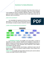 Los Ecosistemas Y La Cadena Alimentaria