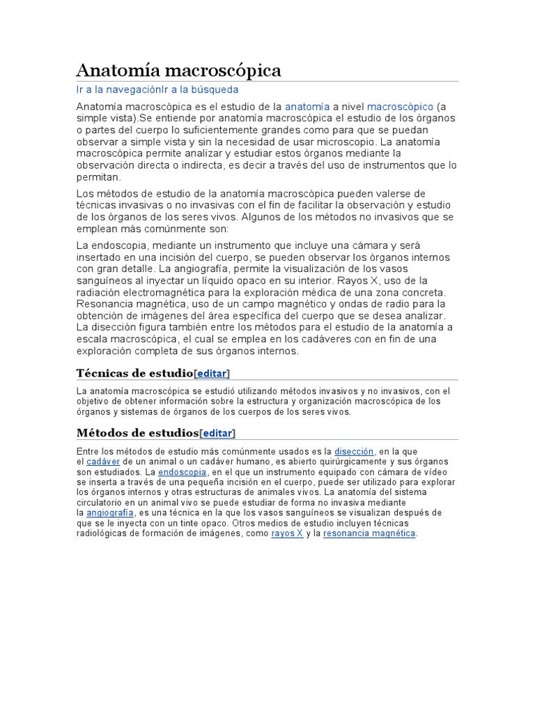 Anatomía Macroscópica | PDF | Anatomía
