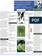 Using DNA Sequences To Determine The Geographic Origins of An Agriculturally Important Invasive Leafmining Fly