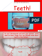 Teeth Term 2B (PowerPoint)