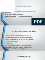 Parasites Infection: One Million Deaths Per Year and Affecting More Than 1.7 Billion People Worldwide