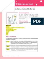 Guia de Laboratorio de 6°