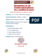 Informe Tecnico #1 - Analisis Metalurgico de Minerales I - Ramírez Hilarión Samuel Oswaldo (Grupo 10)