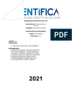 Bioquímica Informe #4