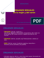 Anatomía y Fisiología Sexual