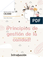 Principios de La Calidad