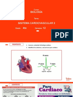 B 4to Sistema Cardiovascular II