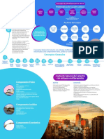 Infografia 1