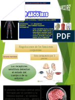 Organizacion Funcional y Homeostasis Del Cuerpo Humano