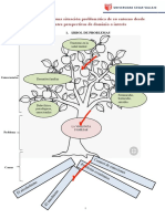 Dianostico de La Problematica