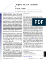Godwin 2013 Macrophages Are Required For Adult Salamander Limb Regeneration