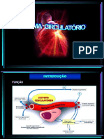 Sistema circulatório: estrutura e funções