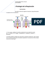 Laboratorio 11. Fisiología de Respriración - V Alumnos