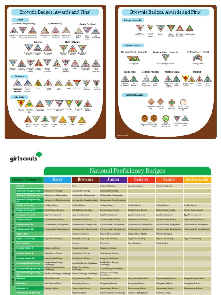 Brownie Badges, Awards and Pins Brownie Badges, Awards and Pins PDF