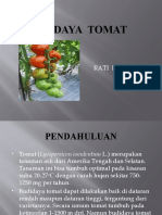 6.1.budidaya Tomat
