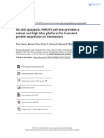 An Anti Apoptotic HEK293 Cell Line Provides A Robust and High Titer Platform For Transient Protein Expression in Bioreactors