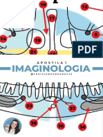 Apostila 1 Imaginologia - Versão sem gabarito @thaistudandoodonto