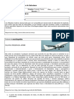 Aviões: transporte rápido e necessidade de infraestrutura