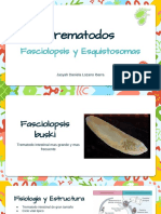 Copia de Biology Subject For Pre-K - Microorganisms by Slidesgo