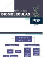 1 Introducción A Las Biomoléculas