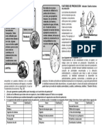 FACTORES DE PRODUCCION - A