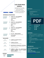 Curriculum Vitae Julio