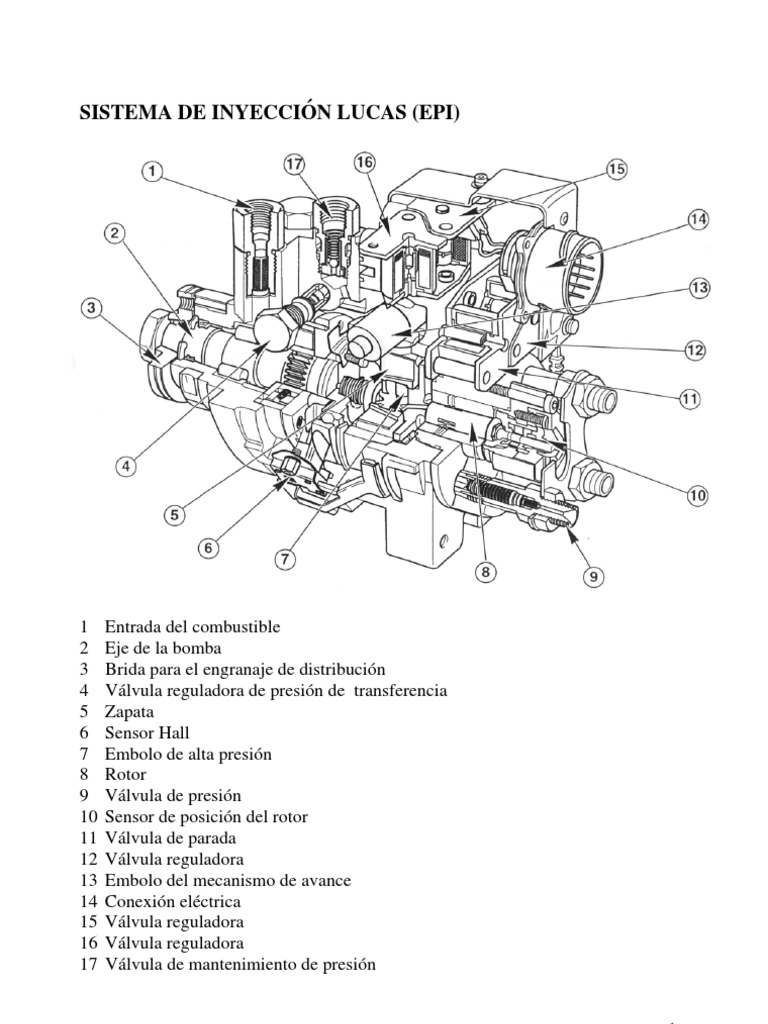 Epic Lucas | Acelerador | Bomba