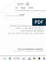 7.1 Intervenciones de enfermeria Lactancia GRR