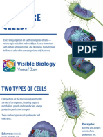 VisibleBody Cell Comparison