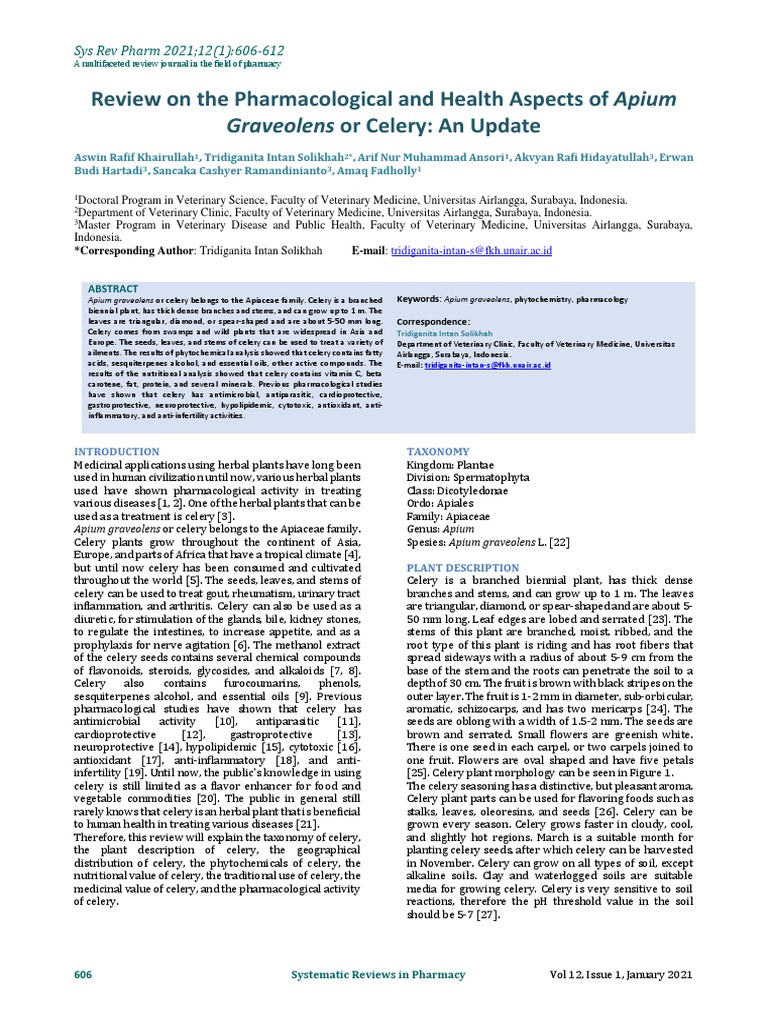 Pharmacological Review of Celery (Apium graveolens) | PDF | Celery