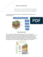 Horizontes Del Suelo