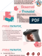 Desarrollo Prenatal