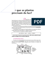 Telecurso 2000 Aula 26 - Por Que as Plantas Precisam de Luz