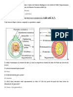 Lista Frutos e Sementes 2022.1