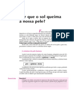 Telecurso 2000 Aula 38 - Por Que O Sol Queima A Nossa Pele