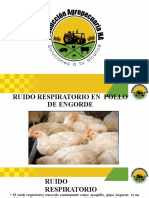 Ruido Respiratorioen Pollos