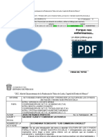 Actividades para Fortalecer y Promover Los 5 Pasos de Paz