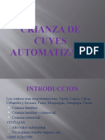 Crianza de Cuyes Automatizada