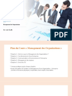 Management des Organisations