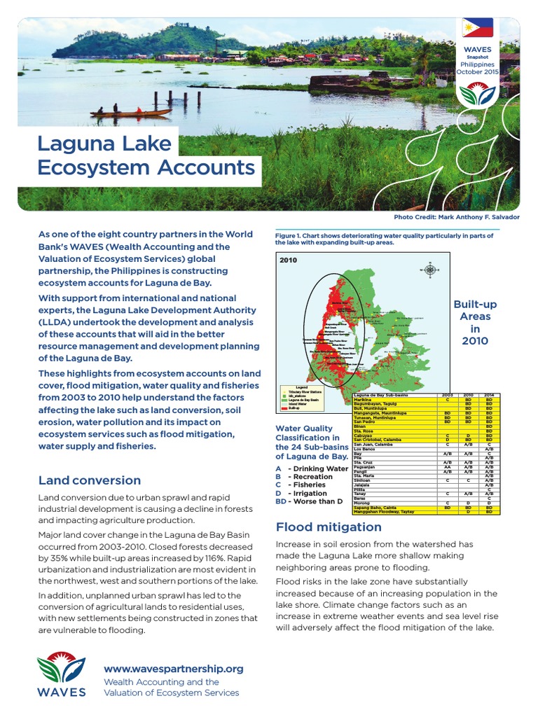 Laguna de Bay Pollution Insights | PDF | River | Pollution