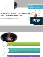 HSA Kardiovaskular