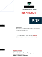 Respiration SSC English 86