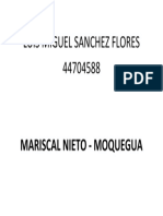 Luis Miguel Sanchez Flores