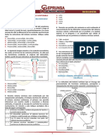 Biología Practica 09 Ceprunsa II Fase 2022