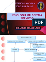 Clase Sistema Nervioso Dr. Tello